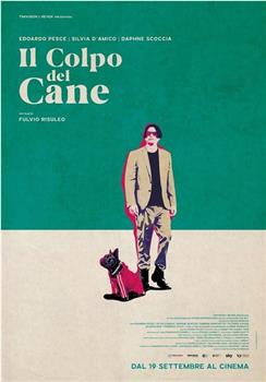 Il colpo del cane观看