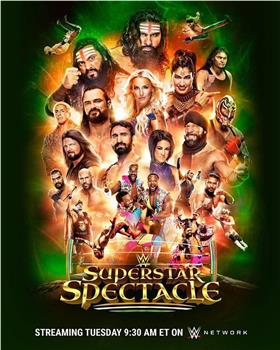 WWE Superstar Spectacle观看