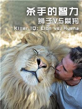 杀手的智力：狮子VS鬣狗观看