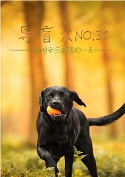 导盲犬No.31观看