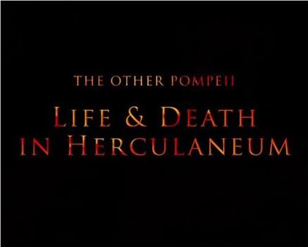 另一个庞贝：赫库兰尼姆的生与死观看