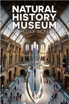 英国自然历史博物馆：神奇世界 第一季观看