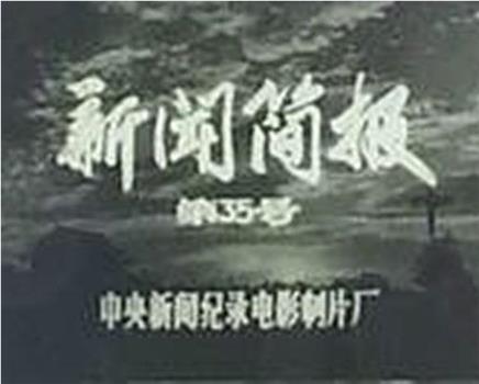 新闻简报1974年第35号：庆祝中华人民共和国成立二十五周年观看