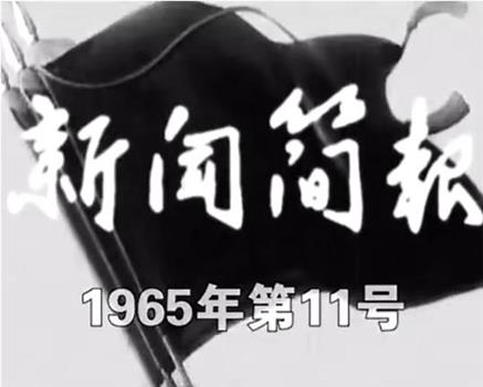 新闻简报1965年第11号观看