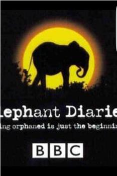 大象日记 第二季观看