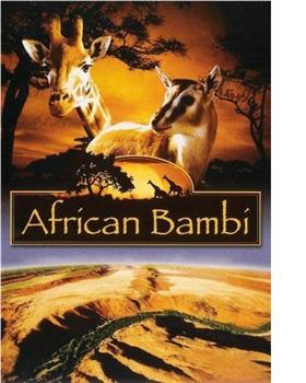 African Bambi观看