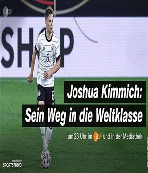 约书亚·基米希：他成为世界级球员这一路观看