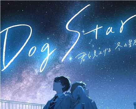 Dog Star 与你一同仰望冬季的群星观看