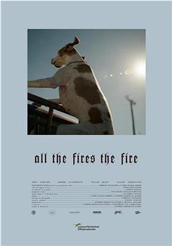 All the Fires the Fire观看