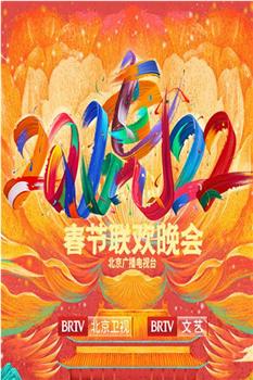 2022年北京卫视春节联欢晚会观看