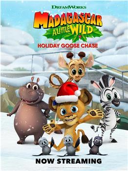 Madagascar: A Little Wild – Holiday Goose Chase观看