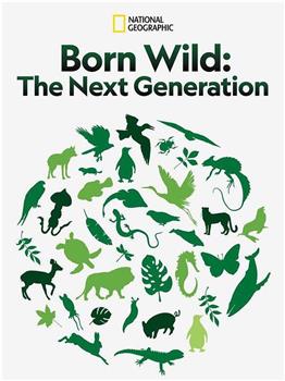 Born Wild: The Next Generation观看