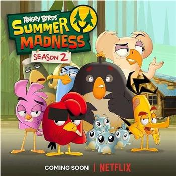 愤怒的小鸟：夏日疯狂 第二季观看