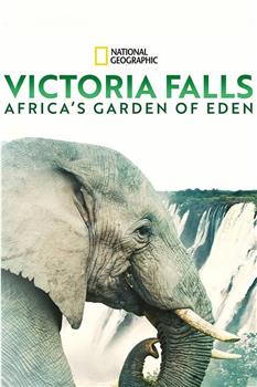 维多利亚瀑布：非洲的伊甸园观看