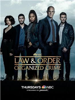法律与秩序：组织犯罪 第三季观看