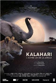 Kalahari, l'autre loi de la jungle Season 1观看