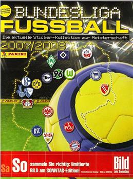 2007-2008赛季 德国足球甲级联赛观看