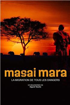 Masai Mara: The Big Hunt观看