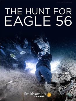 Hunt for Eagle 56 Season 1观看
