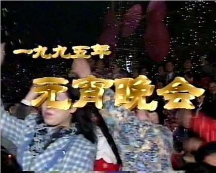 1995年中央电视台元宵晚会观看