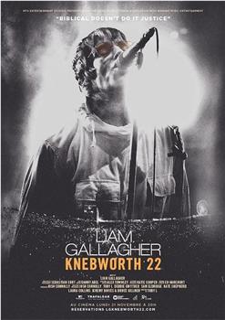 Liam Gallagher: Knebworth 22观看