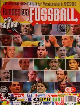 2002-2003赛季 德国足球甲级联赛观看