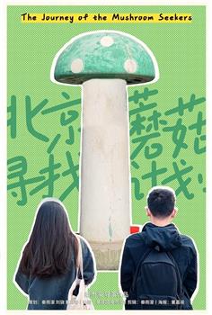 北京蘑菇寻找计划观看
