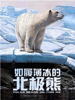 Polar Bears: Living on Thin Ice 第一季观看