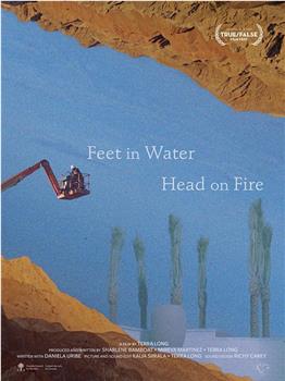 Feet in Water, Head on Fire观看