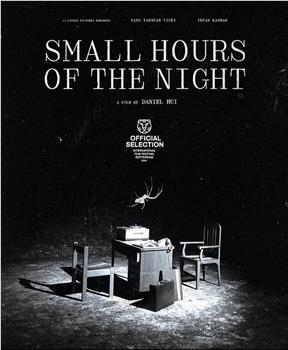 Small Hours of the Night观看