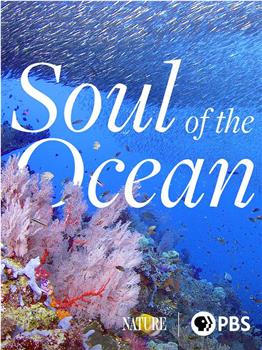 Soul of the Ocean观看