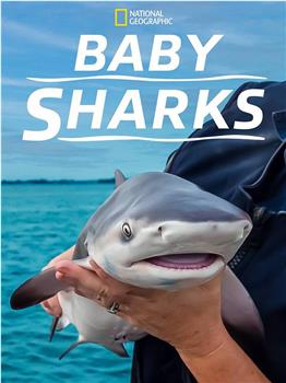 鲨鱼宝宝成长记观看