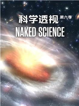 科学透视 第六季观看