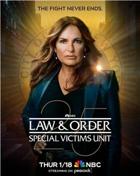 法律与秩序：特殊受害者 第二十五季观看