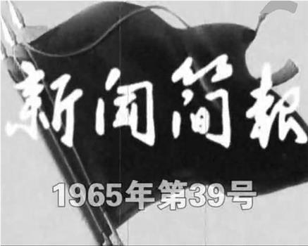 新闻简报1965年第39号观看