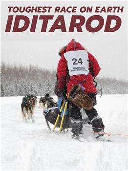 爱迪塔罗德狗拉雪橇比赛 第一季观看