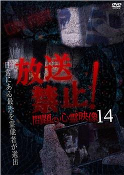 放送禁止！問題の心霊映像 14观看