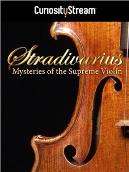 斯特拉迪瓦里：超级小提琴的秘密观看