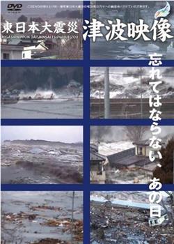 東日本大震災 津波映像观看