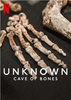 地球未知档案：骸骨洞穴观看