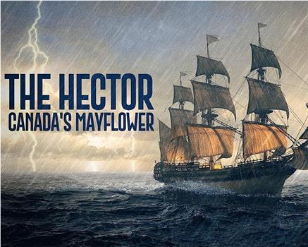 The Hector: Canada's Mayflower观看