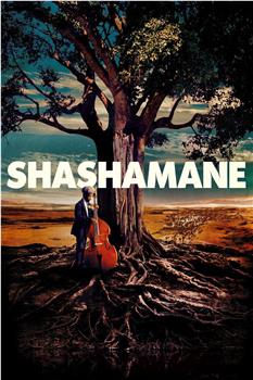 Shashamane观看