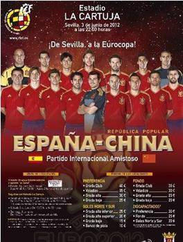 2012年欧洲杯热身赛 西班牙Vs中国观看