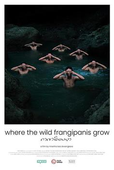 Where the Wild Frangipanis Grow观看