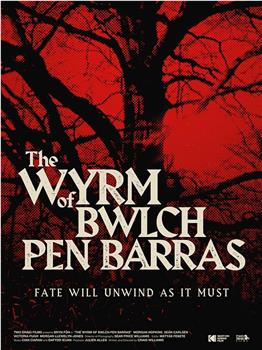 The Wyrm of Bwlch Pen Barras观看