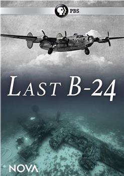 Last B-24观看