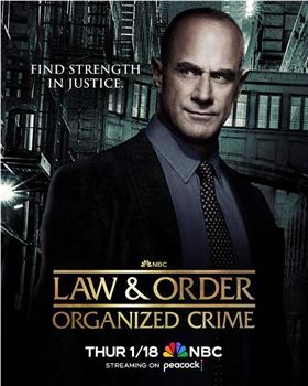 法律与秩序：组织犯罪 第四季观看