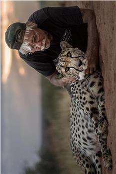 猎豹守护人观看