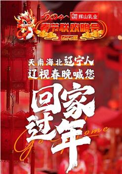 2024辽宁卫视春节联欢晚会“龙腾盛世中国年”观看