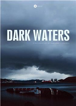 Dark Waters观看